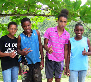 Unsere 4 Pferde-Guides