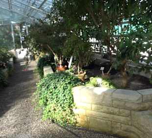 Gewächshäuser Botanischer Garten