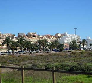 Salzwiesen zwischen Strand und Promenade