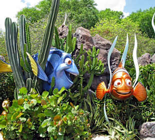 ... Nemo wurde gefunden...