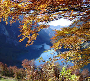 Herbst am Klöntaler See