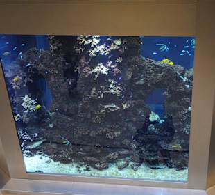 Wnętrze galerii zdobi akwarium.