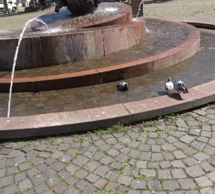 Sebastian-Münster-Brunnen
