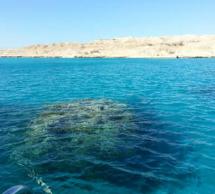 Rotes Meer