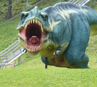 Klausberg - Abenteuerpark