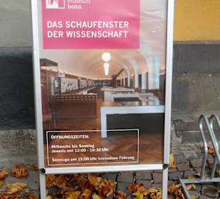 Aufsteller des Universitätsmuseums