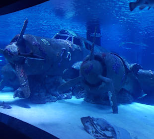 Aquarium Antalya