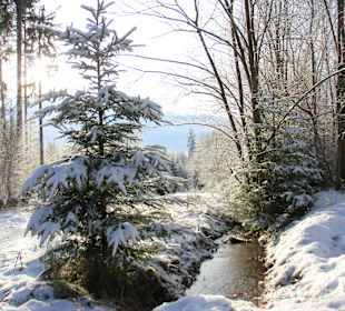 Wandern Pfalzgrafenweiler