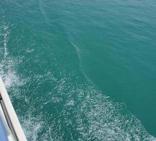 Lazurowa woda jeziora Bodeńskiego