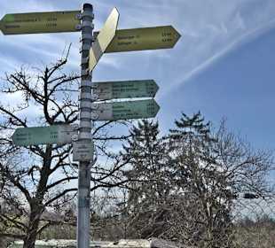 Gomaringer Rundweg - Zu den Giganten im Wald