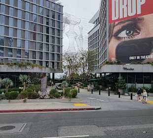 Hollywood