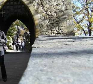 Burgtor noch vor der Kasse