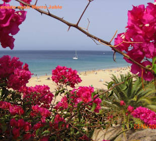 Jandia-Playa del Matorral