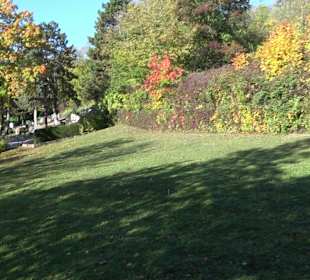 Friedhof Thalfingen