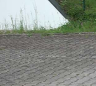 Sportplatz Grünmettstetten