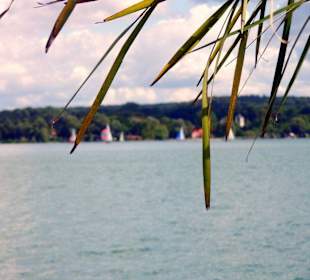 Starnberg