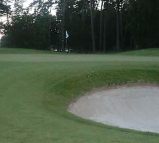 Bunker schützen das Grün