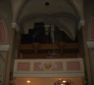 Orgel
