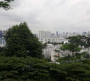 Ausblick