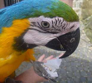 Freude mit der Knabbertüte