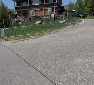 Naturparkzentrum Ruhestein