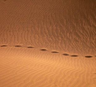 Dünen von Maspalomas