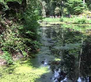 Wanderweg - Alter Steinbruch Pfaffenberg Runde