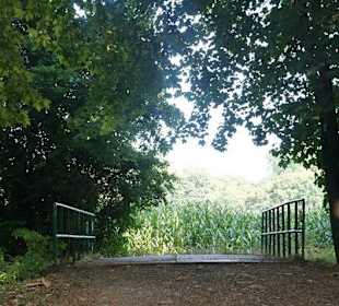 Wald, Wiese und Feld