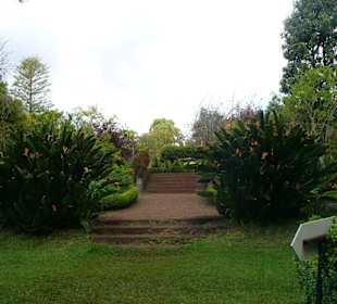 Blandys Gardens/Palheiro Gardens
