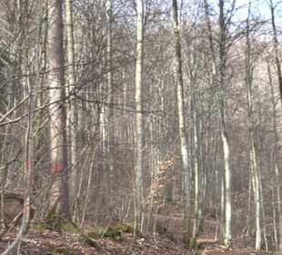 Wasserfallsteig