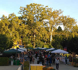 Wandern Bad Gleichenberg