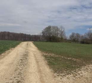 Vulkankrater-Rundweg Apfelstetten