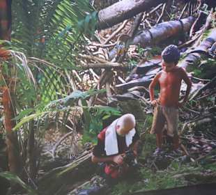 Der Künstler „Yadegar Asisi“im Regenwald