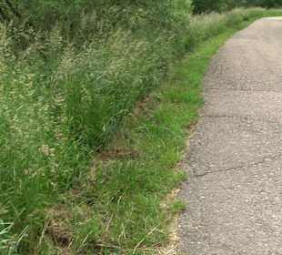 Aalener Nachhaltigkeitsweg