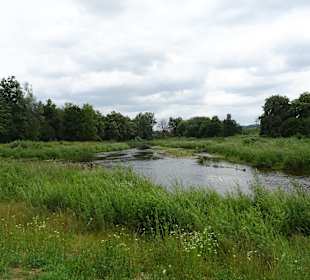 Donauzusammenfluss Donaueschingen