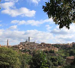 Siena