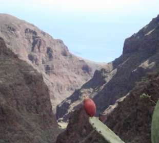 In der Ferne das Meer