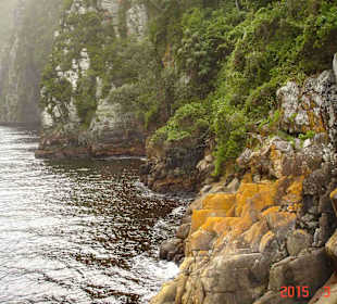 Tsitsikamma National Park