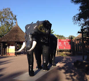 Eingang Safari Park
