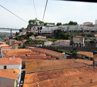 Über den Dächern der Weinkeller