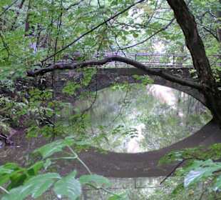 Im Liebetaler Grund (Wesenitztal)