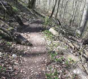 Wanderweg Hochgehkämpft