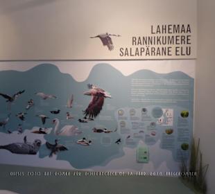 Infowand in der Ausstellung zum Laheema Nat. Park 