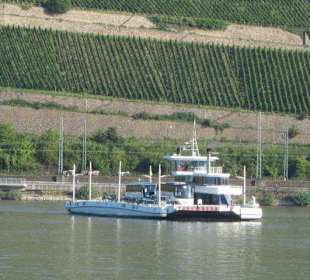 Fähre Rüdesheim