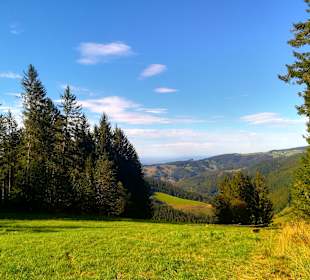 Wandern Todtnauberg