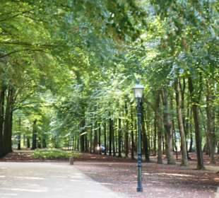 Im Garten von Haus Doorn