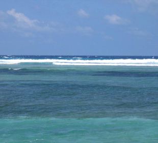 Meer