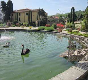 Garten und Villa Garzoni in Collodi