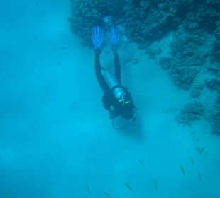 Schnorcheln Abu Daba Taucher
