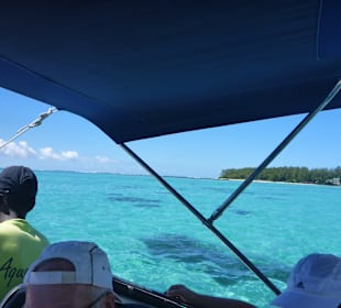 Schnorcheln Belle Mare